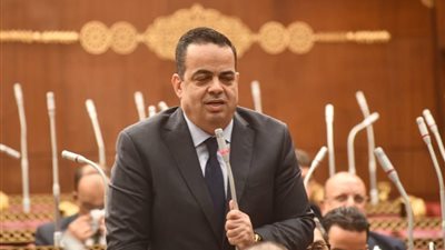 النائب عصام هلال: التطوير في المطارات ومصر للطيران لا يواكب توقعات المواطنين 