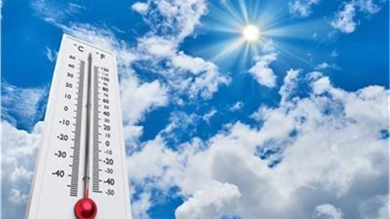 الأرصاد: أجواء ربيعية حارة نهاراً وشبورة مائية كثيفة تسيطر على طقس الجمعة والسبت