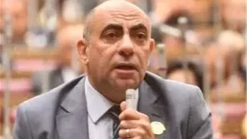النائب محمد إبراهيم