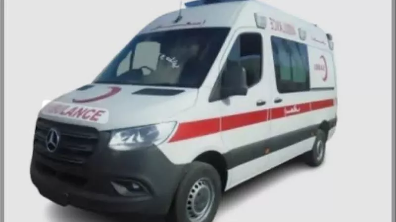 مقتل شقيقين وإصابة آخر بقرية كوم الحجر بالحامول كفرالشيخ