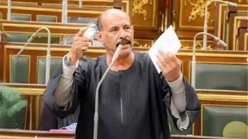 برلماني: مشاركة مصر في قمة نيروبي رسالة بأن القاهرة تسعى لإعلاء القارة الإفريقية| خاص 