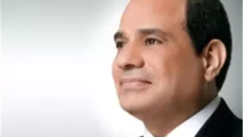 السيد الرئيس عبد