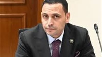 نائب يفتح النار على مبادرة سيارات المصريين بالخارج.. “فين الشفافية؟