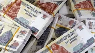قبل عيد الأضحى.. موعد صرف مرتبات شهر مايو 2026