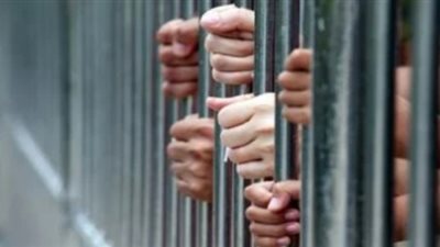 المؤبد لشقيقين أنهيا حياة شاب خلال مشاجرة في الدقهلية