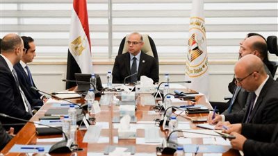 وزير الاستثمار يبحث مع مسؤولي «DPI» مصر و«Egypt Ventures » ضخ استثمارات جديدة