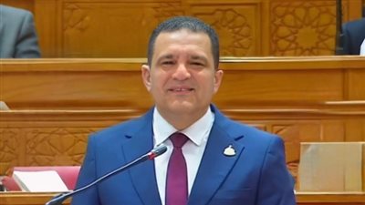 نائب بالبرلمان: تحويل مسار شحنات القمح لم يؤثر على المخزون الاستراتيجي ومصر آمنة لـ6 أشهر