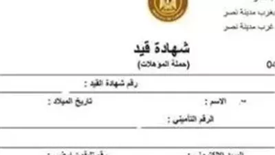كيفية استخراج كعب العمل إلكترونيًا 2026.. خطوات الإصدار عبر مصر الرقمية