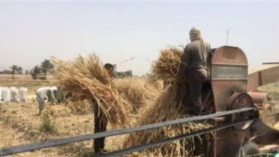 حادث مأساوي يهز السنبلاوين.. بتر ذراع شاب وإصابات خطيرة إثر ماكينة دراسة قمح