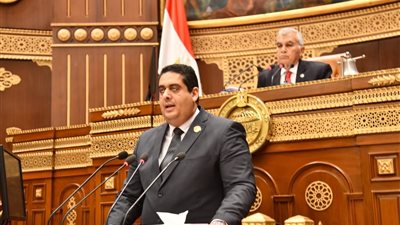 النائب وليد التمامي لـ