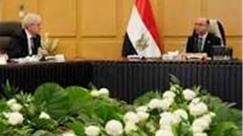 وزير الاستثمار يبحث مع وفد أمريكي تطورات العلاقات التجارية بين البلدين