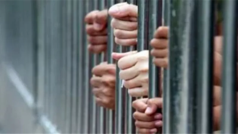 المؤبد لشقيقين أنهيا حياة شاب خلال مشاجرة في الدقهلية