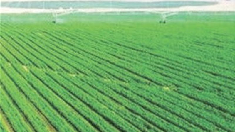 مشروع الدلتا الجديدة