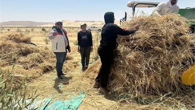 وزارة الزراعة تدفع بمعدات حديثة لتسهيل حصاد القمح في جنوب سيناء