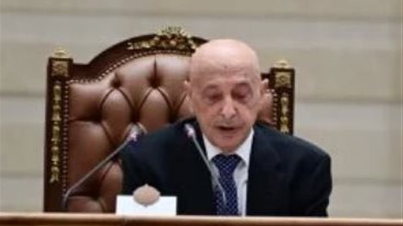 رئيس البرلمان الليبي