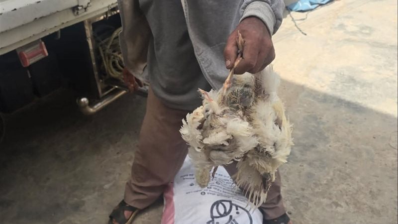 ضربة لتجار المرض..