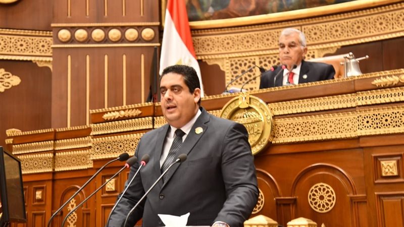 النائب وليد التمامي