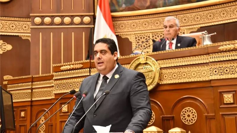 وليد التمامي: 