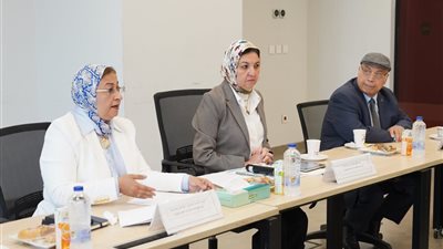 نقلة نوعية في التحول الرقمي.. مجلس الدراسات العليا  بجامعة عين شمس يناقش تطوير البحث العلمي