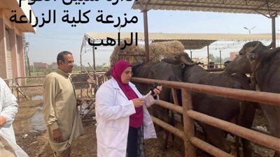 المنوفية تواصل حملات تحصين الماشية لحماية الثروة الحيوانية