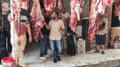 قبل العيد.. الجيزة تضبط 6 أطنان لحوم ومصنعات دواجن فاسدة