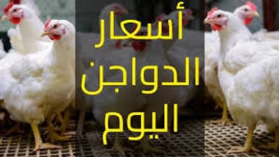 مفاجأة بسعر البانيه.. أسعار الدواجن والبيض بالمحلات اليوم الاثنين بعد آخر هبوط