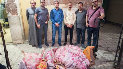 ضبط 343 كيلو لحوم مريضةبأختام مزورة في سوهاج قبل توزيعهاعلى محال