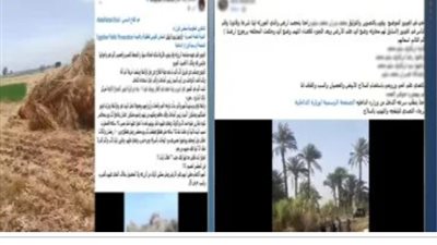 القصة الكاملة لفيديو خلافات ميراث بالبحيرة بعد انتشاره على السوشيال ميديا