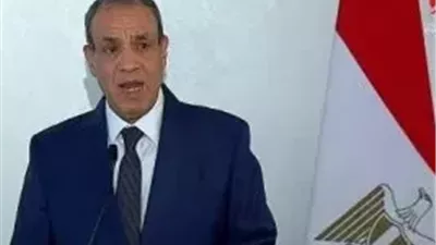 وزير الخارجية: مصر تواصل تعزيز الشراكة مع إفريقيا وتدعم توطين الصناعة