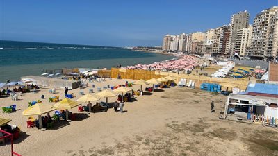 محافظة الإسكندرية تستعد لاستقبال عيد الأضحى المبارك
