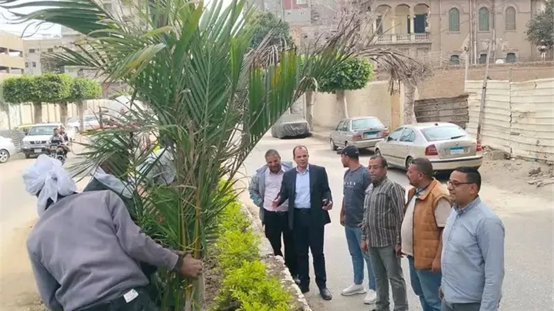 «شوارع أكثر جمالًا وخدمات أفضل».. محافظ الدقهلية يتابع تطوير ورفع كفاءة مدينة ميت غمر