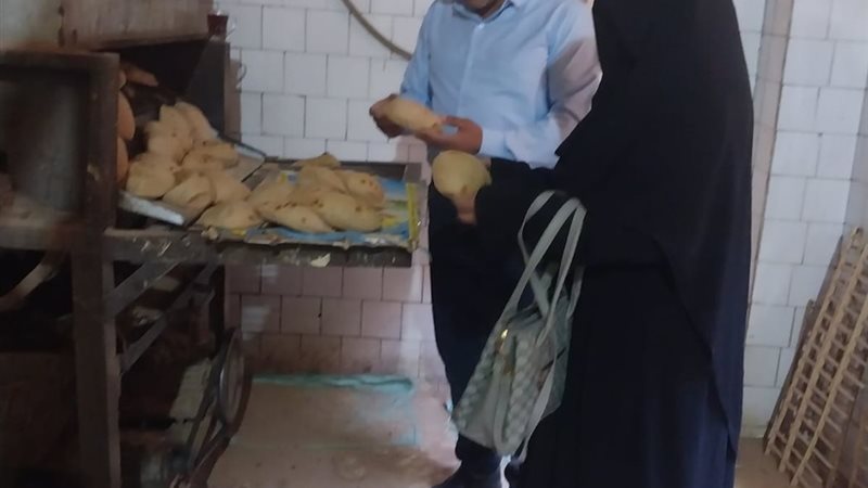 الحملات