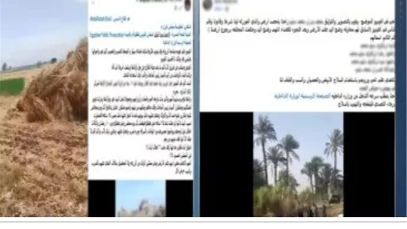 القصة الكاملة لفيديو خلافات ميراث بالبحيرة بعد انتشاره على السوشيال ميديا