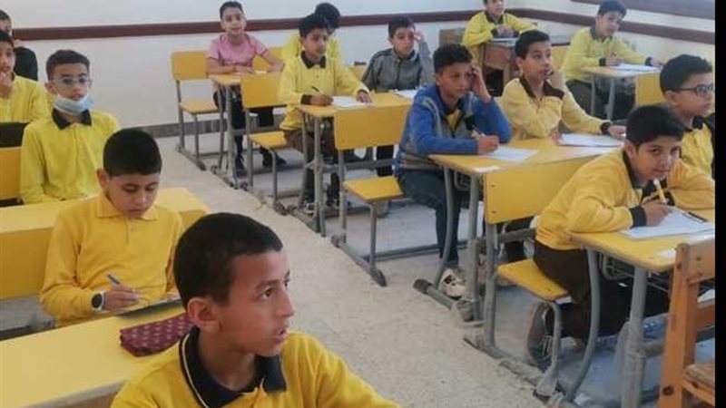نتيجة صفوف النقل