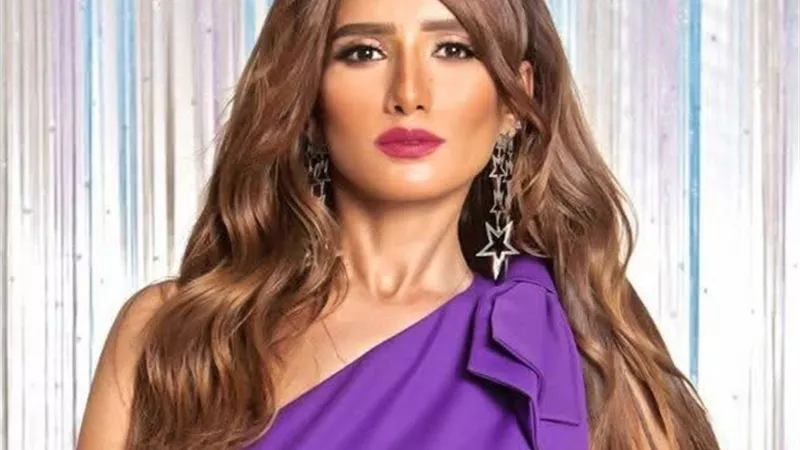 23 يونيو.. المحكمة تفصل في استئناف زينة وأحمد عز بشأن نفقة السكن
