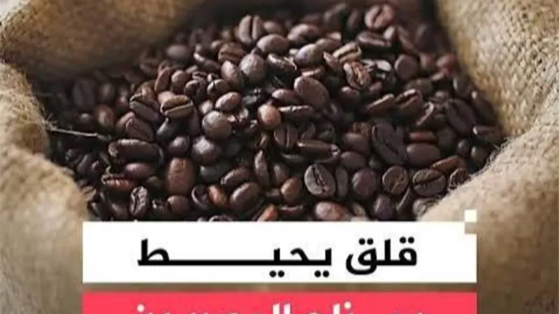80 ألف طن سنويًا.. شعبة البن تكشف حقيقة البن المغشوش وتحذر المواطنين