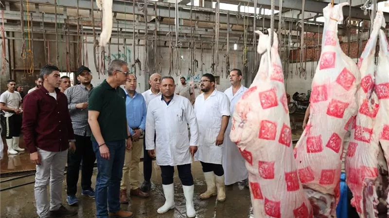 جاهزية 32 مجزر.. محافظ الجيزة يتفقد مجزري المنيب والوراق