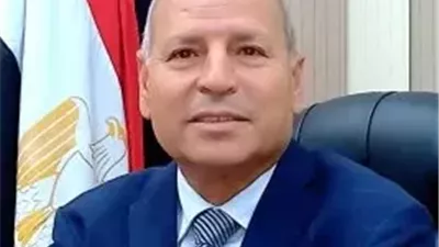 محافظ القاهرة يُكلف تامر أبو الغيط برئاسة حي المقطم