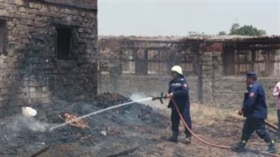 حريق يلتهم حظيرة ماشية ونفوق 7 رؤوس أضاحي شمال المنيا