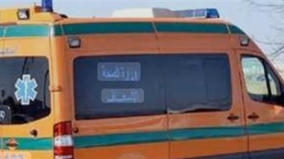سقط أثناء تركيب دش.. إصابة عامل بجروح خطيرة وكسور في الدقهلية