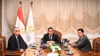وزير الرياضة يبحث دعم الفروسية مع سامح الدهان عبر الفيديو كونفرانس