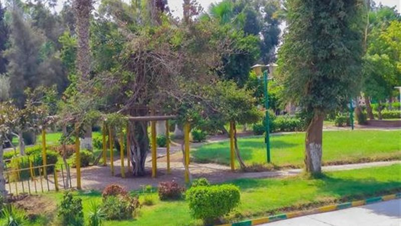 رفع حالة الاستعداد