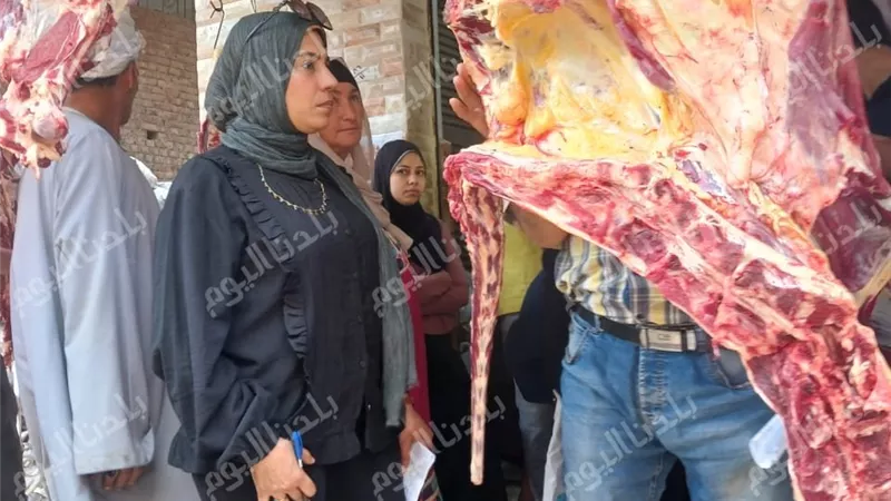 ضبط 98 مخالفة تموينية ولحوم مجهولة المصدر في حملات مكثفة بالمنوفية 