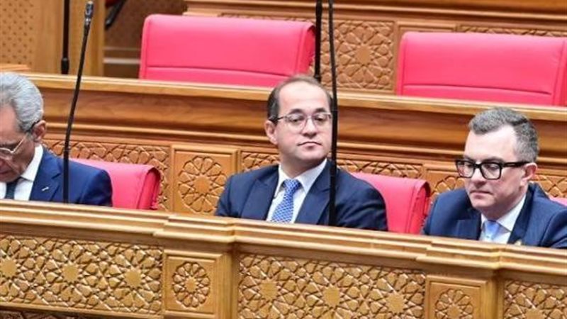 وزير المالية