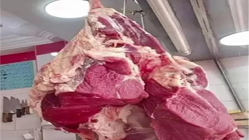 ما بعد عيد الأضحى المبارك.. هل تنخفض أسعار اللحوم أم تواصل الارتفاع؟
