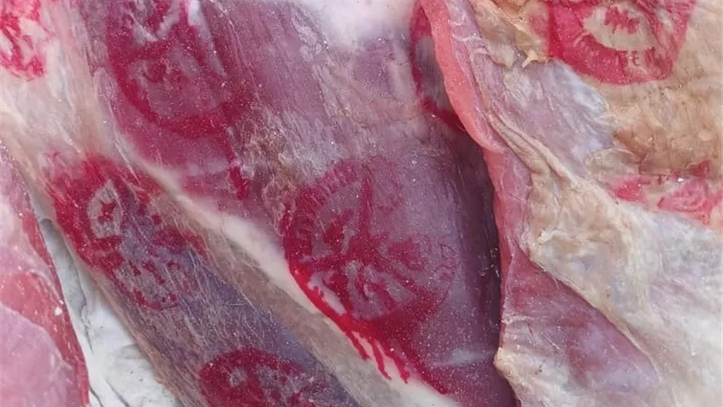 «لا تهاون مع المحتكرين».. محافظ المنوفية يعلن نتائج حملات التموين وضبط لحوم مخالفة