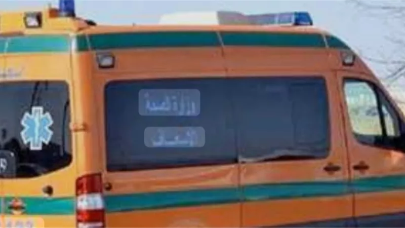 سقط أثناء تركيب دش.. إصابة عامل بجروح خطيرة وكسور في الدقهلية