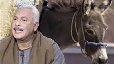 من ألف لـ15 ألف جنيه.. نقيب الفلاحين يحذر من ارتفاع أسعار الحمير 