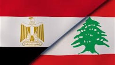 مصر تستنكر بشدة الهجوم الإسرائيلي على الجيش اللبناني وتحذر من الفوضى