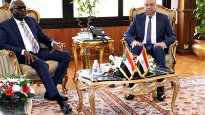 وزير الطيران المدني يبحث مع الجانب السوداني تعزيز التعاون في قطاع الطيران